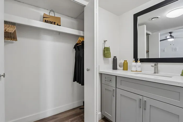 Elegant bathroom with modern vanity and spacious closet, offering a sleek design and ample storage space.