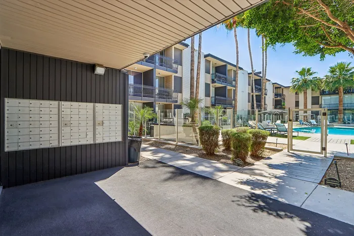 Inviting apartment complex showcasing modern mailboxes, lush palm trees, and a sunlit pool area with elegant lounging chairs.