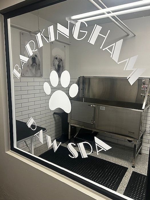 Chic pet grooming space at Barkingham Paw Spa featuring a modern wash station and stylish decor.
