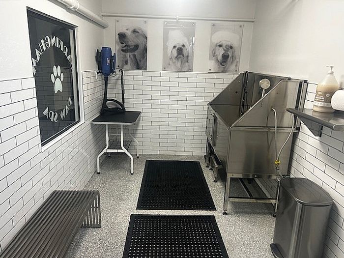 Modern pet grooming spa featuring tiled walls, a stainless steel washing station, and playful dog portraits, offering a clean and inviting space for pet care.