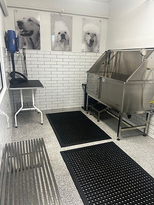Modern pet grooming station with stylish metal tub, grooming table, and playful dog portraits on the wall.