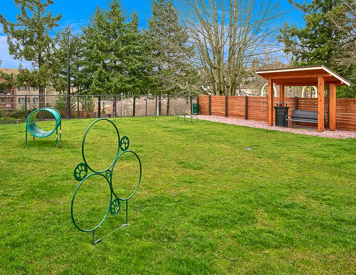 Apartments for Rent in Renton, WA - Sunset View Apartments - Fenced Dog Park With Grassy Play Area, Agility Rings And Tunnel, Shaded Seating, And Trees Along The Perimeter.