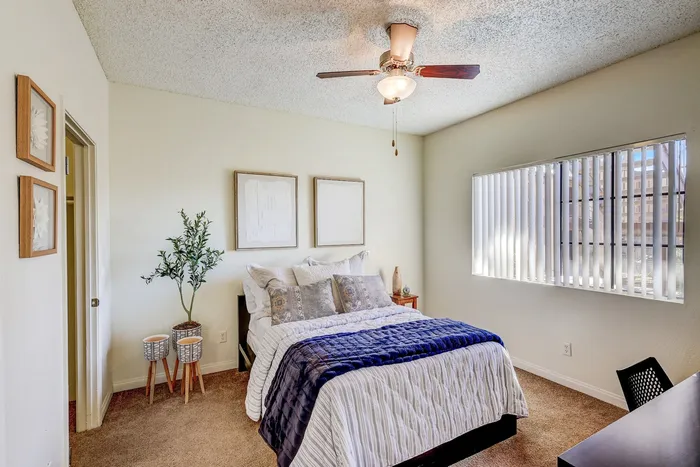 Apartments in North Las Vegas, NV, With In-Unit Washer and Dryer - Desert Ridge Apartments - Bedroom With Bed, Plush Carpet, Ceiling Fan, Wall Frames, and Window With Vertical Blinds.