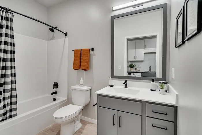 Minneapolis, MN, Pet-Friendly Apartments - B-Side - A Studio Bathroom With Bathtub, Shower Curtain, Single-Sink Vanity, Gray Cabinets, White Countertop, Large Framed Mirror, and Matte Black Fixtures.