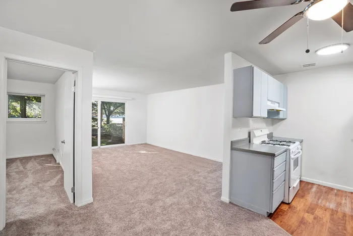 Kitchen & Living Room