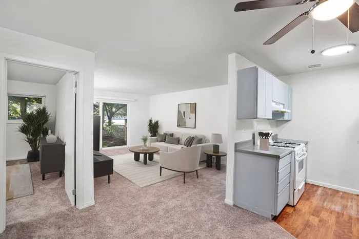 Living Room & Kitchen