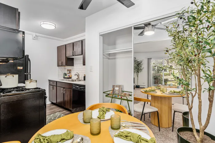 Kitchen & Dinning Area
