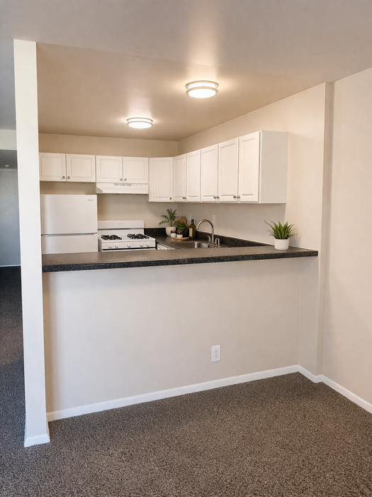 Kitchen Bar
