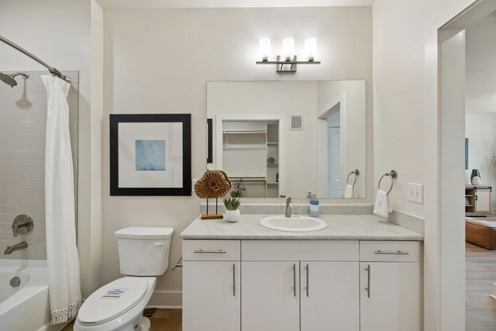 Bathroom with single vanity soaking garden tub