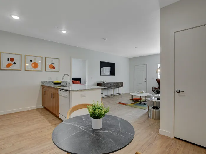 Open Kitchen and Living