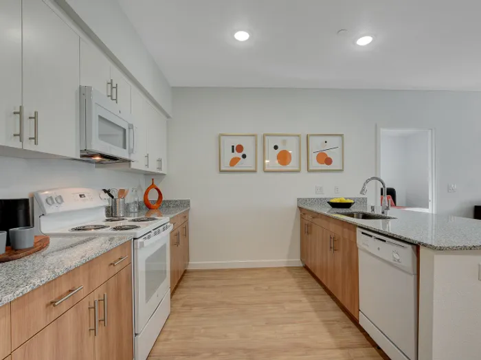 Modern Kitchen