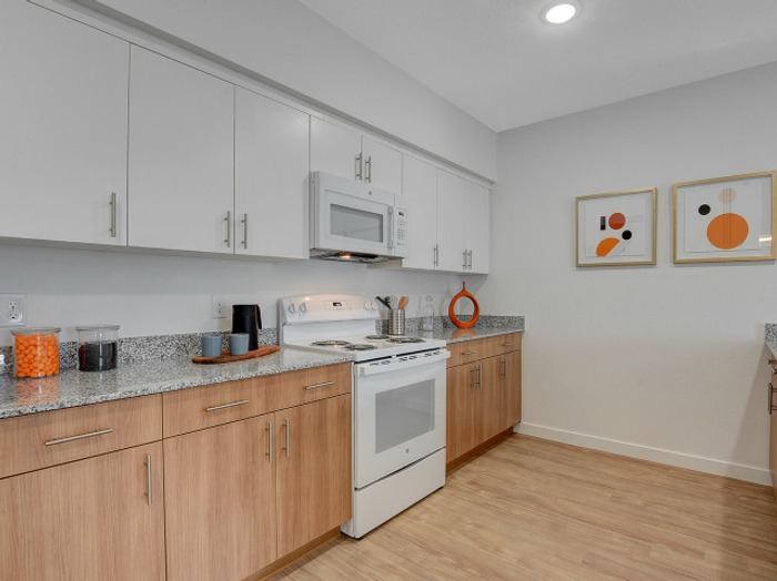Modern Kitchen