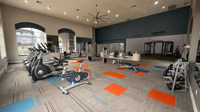 Spacious gym with modern exercise equipment, large windows, and vibrant decor.