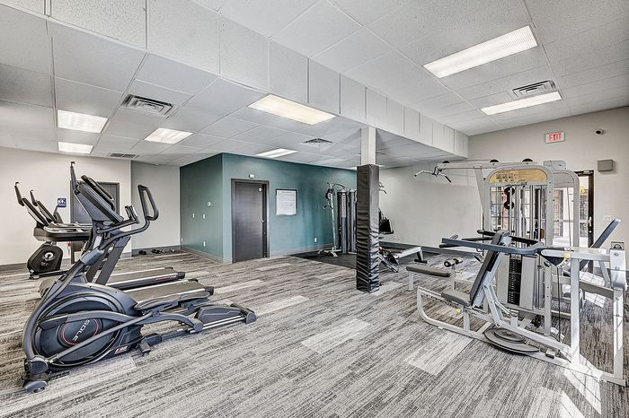 Modern fitness center with state-of-the-art exercise equipment, featuring treadmills and a comprehensive weight machine setup.