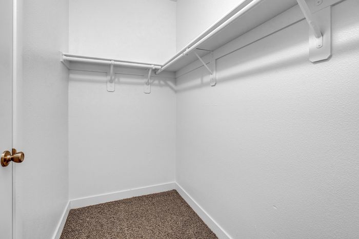 Spacious walk-in closet with white walls, carpeted floor, and ample shelving.
