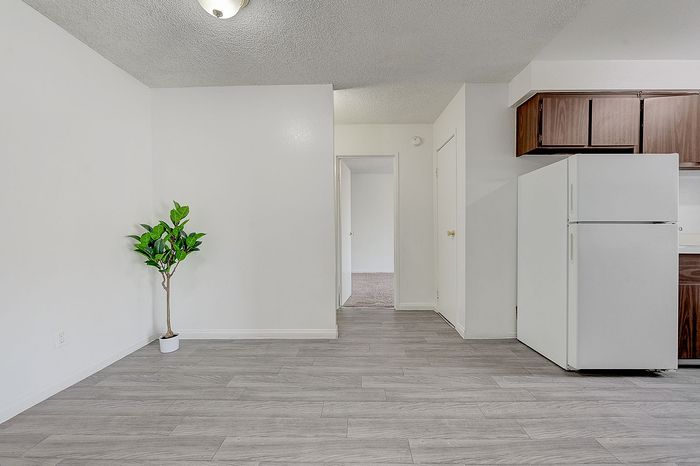 Modern apartment interior featuring sleek gray flooring, contemporary kitchen with wooden cabinets and white appliances, and a vibrant green potted plant accentuating the minimalist design.
