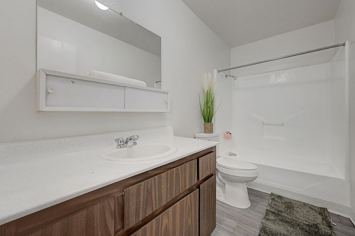 Modern bathroom with sleek vanity, spacious mirror, and inviting bathtub, accented by elegant plant decor.