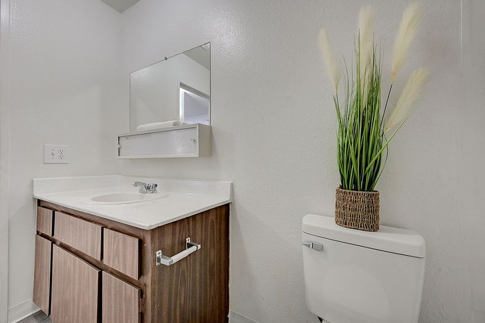 Bright and modern bathroom featuring a sleek vanity with a white countertop, stylish mirror, and chic plant decor.