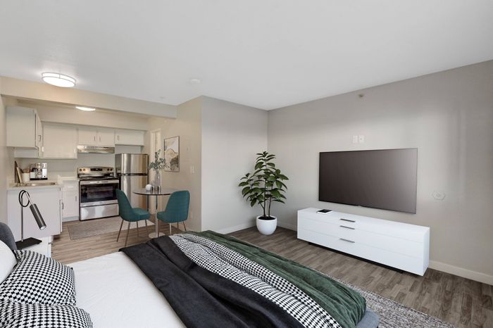 Modern studio apartment with elegant kitchen, cozy dining area, and stylish living space featuring a large flat-screen TV and potted plant for an inviting ambiance.