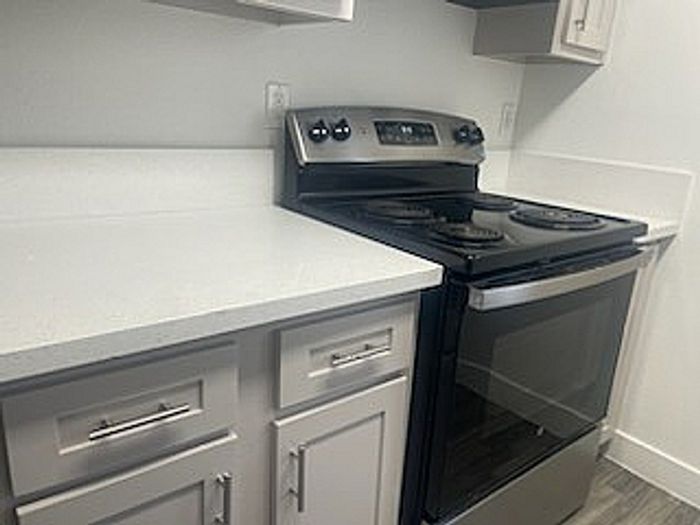Modern kitchen with sleek white cabinets, a clean countertop, and stainless steel electric stove.