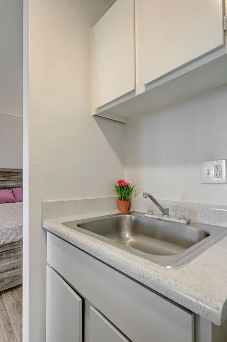 Charming apartment kitchenette with sleek countertop, stainless steel sink, and vibrant potted plant, leading to a cozy bedroom.