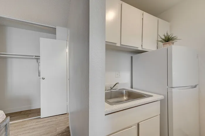 Modern apartment kitchenette with sleek cabinets, compact fridge, and built-in sink; adjoining space with ample closet storage.