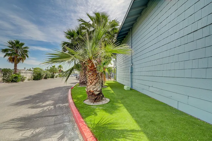Charming suburban setting with vibrant palm trees lining a neatly manicured lawn beside a modern home.