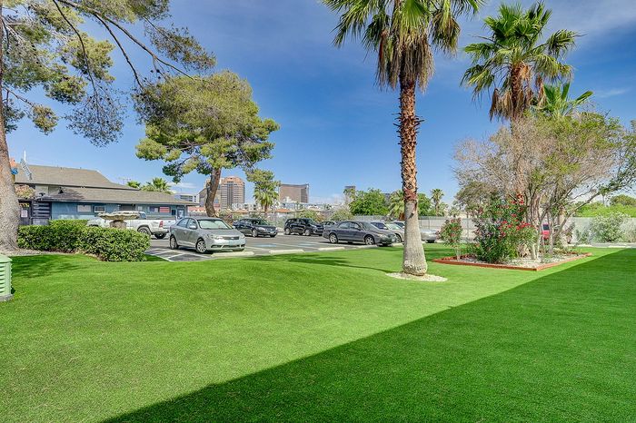 Inviting outdoor space showcasing lush green grass, palm trees, and a well-maintained parking area under a vibrant blue sky.