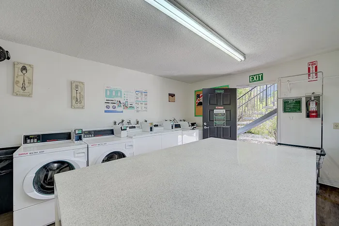 Bright and inviting laundry room featuring modern washing machines and stylish decor.