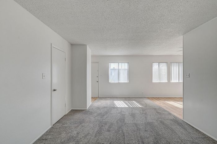 Bright and airy living space with plush carpet, large windows, and a classic white interior, perfect for comfort and style.