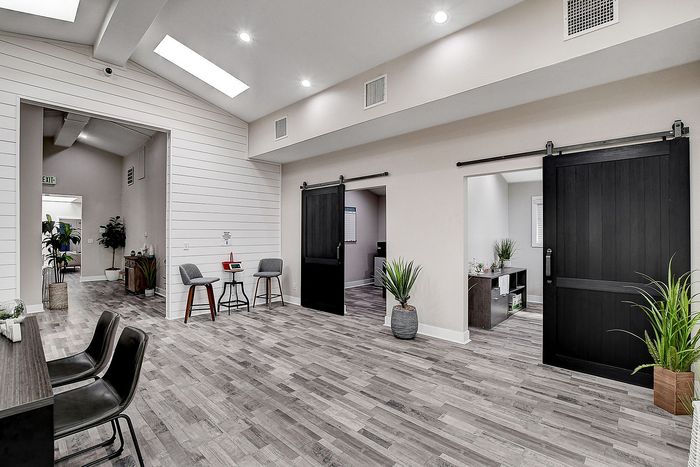 Bright and modern open-plan office space featuring sleek flooring, charming accent chairs, and indoor plant decor.