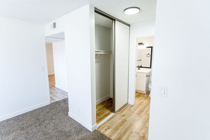 Bright and modern apartment featuring a walk-in closet, elegant bathroom, and sleek wood flooring.