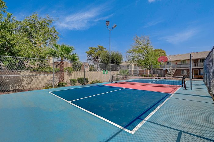Vibrant outdoor multi-sport court with basketball hoop and lush greenery, ideal for active living.