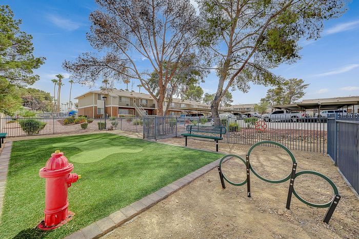 Inviting outdoor area featuring a vibrant green lawn, playful pet agility equipment, and a cozy bench surrounded by scenic trees and modern apartments.