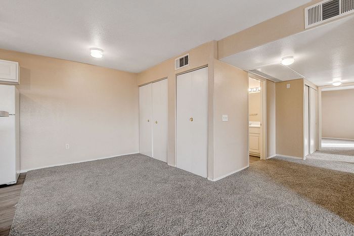 Bright and spacious apartment interior with plush carpet, large closets, and modern lighting.