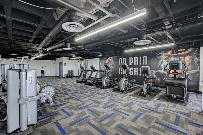 Modern fitness center with state-of-the-art equipment, featuring sleek treadmills and exercise machines against an inspiring 'No Pain No Gain' backdrop.