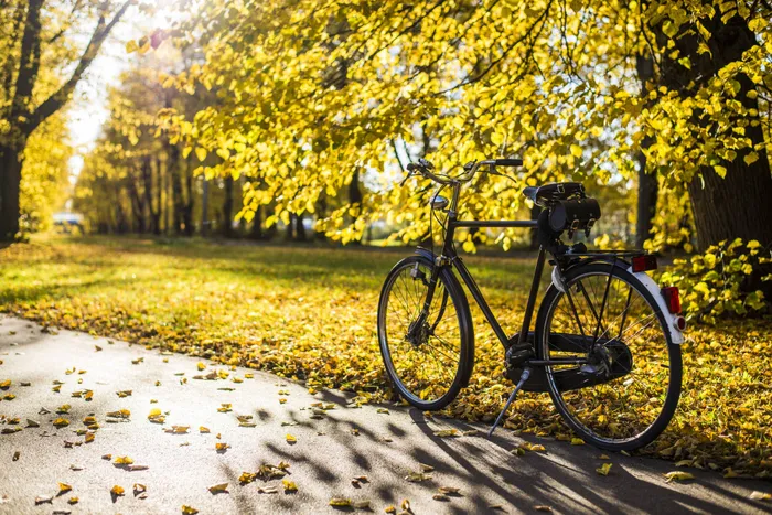 bike