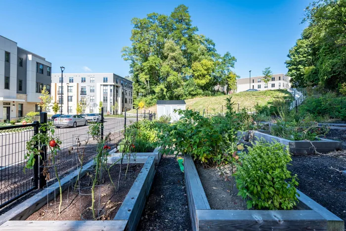 garden