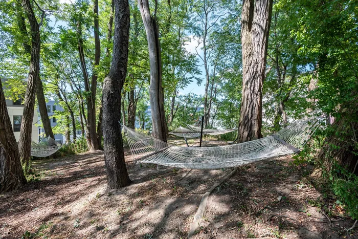 hammocks