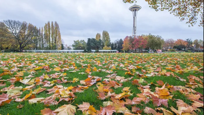 Seattle Space Needle