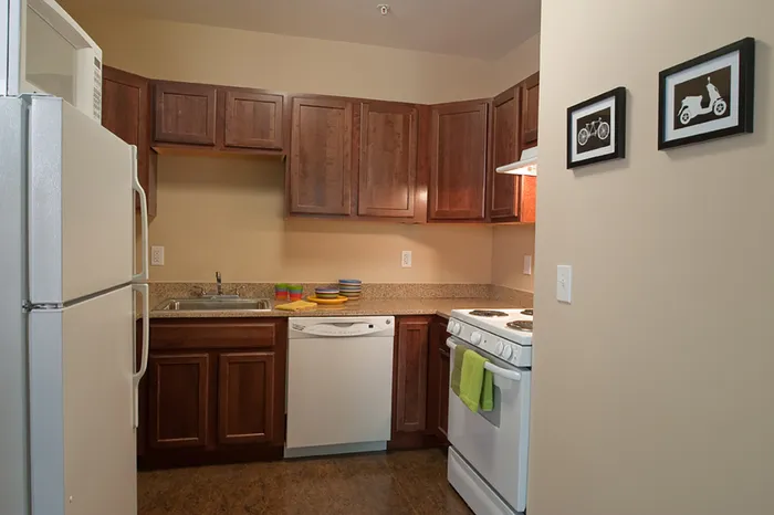 Luxurious Kitchen