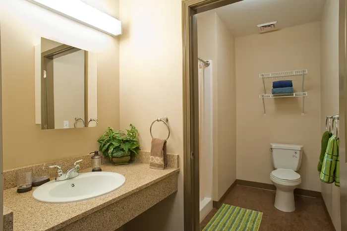 Ornate Bathroom