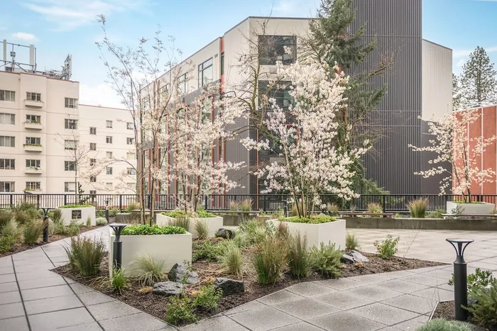Community courtyard with pathways around the beautiful greenery