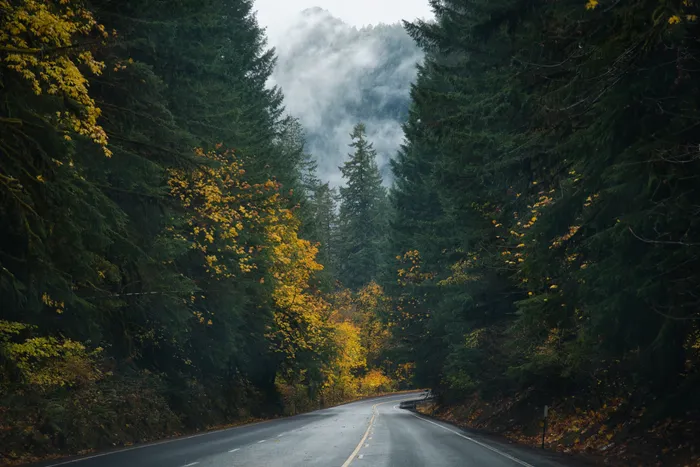 Winding road in the forest with a foggy mountain in the background
