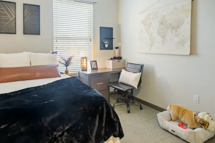 bedroom