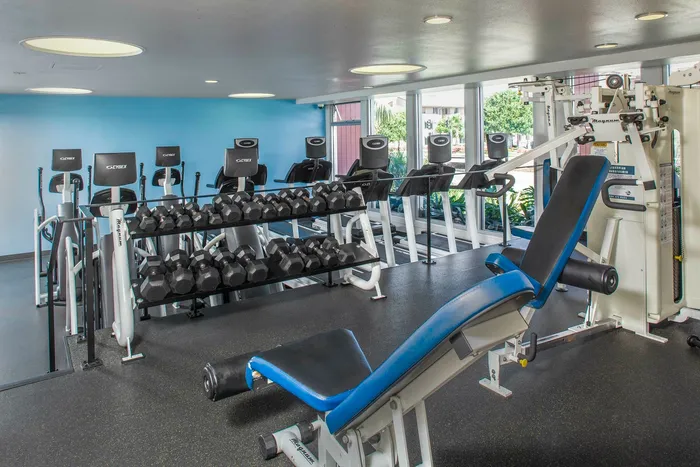 De Norte Gym
