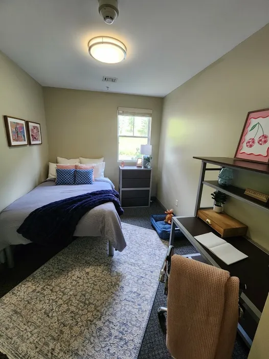 fully furnished bedroom