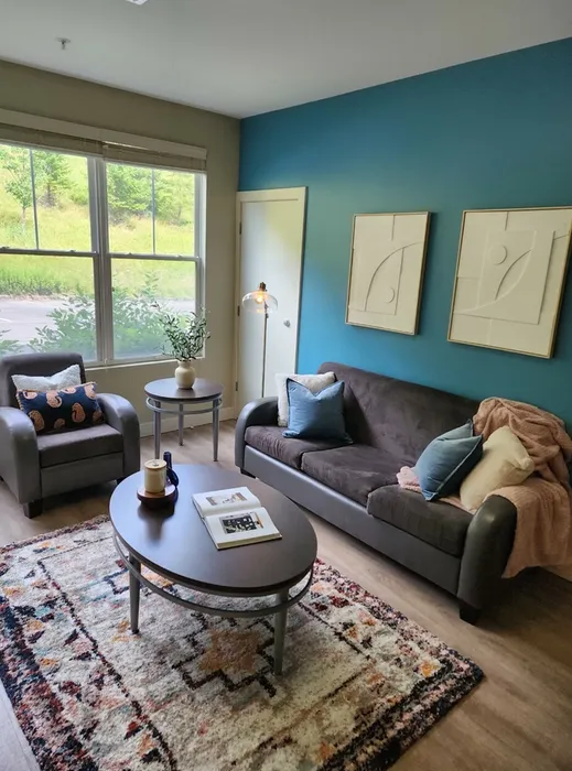 fully furnished living room