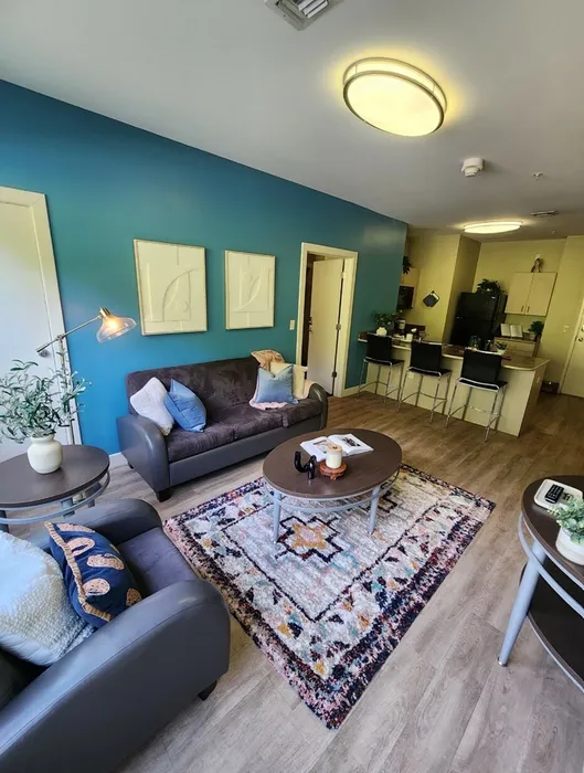 fully furnished living room