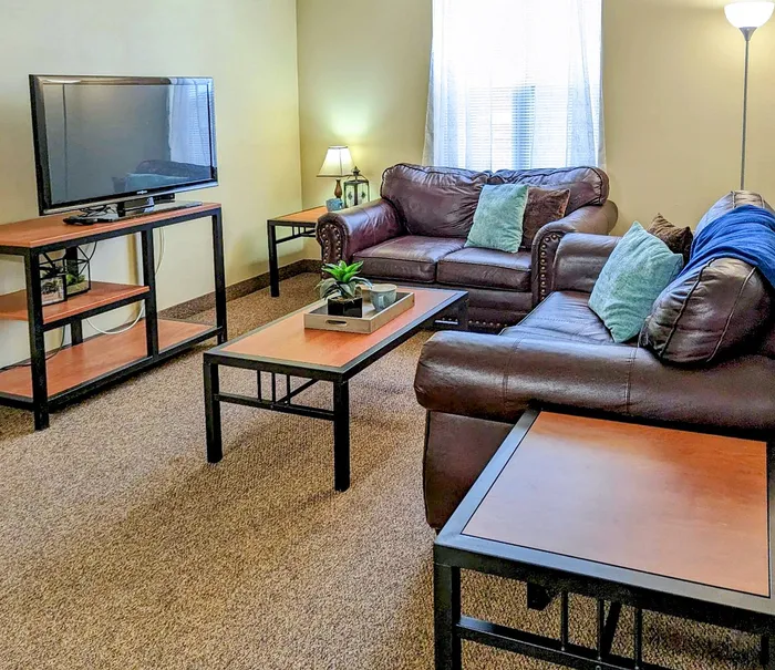Living room with TV and two brown couches